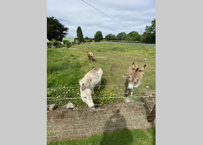 Breathneach House 度假居 *