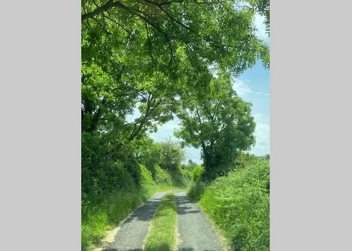 Breathneach House 度假居 *