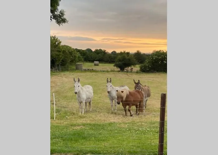 度假居 Breathneach House