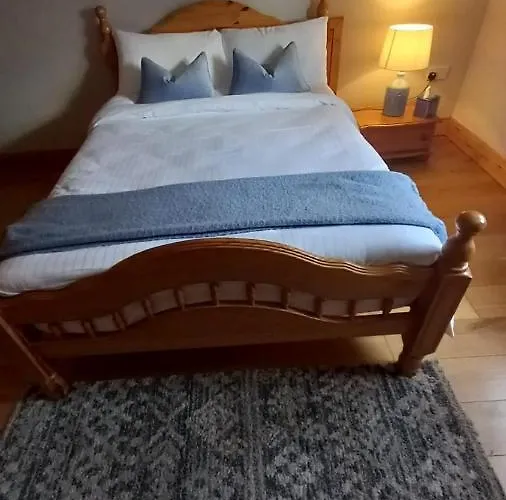 Breathneach House 度假居 Limerick Junction